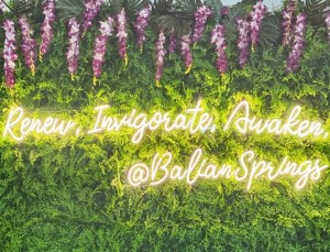 BALIAN SPRINGS: AN OASIS OF CALM IN THE DMV – The Artful Epicure